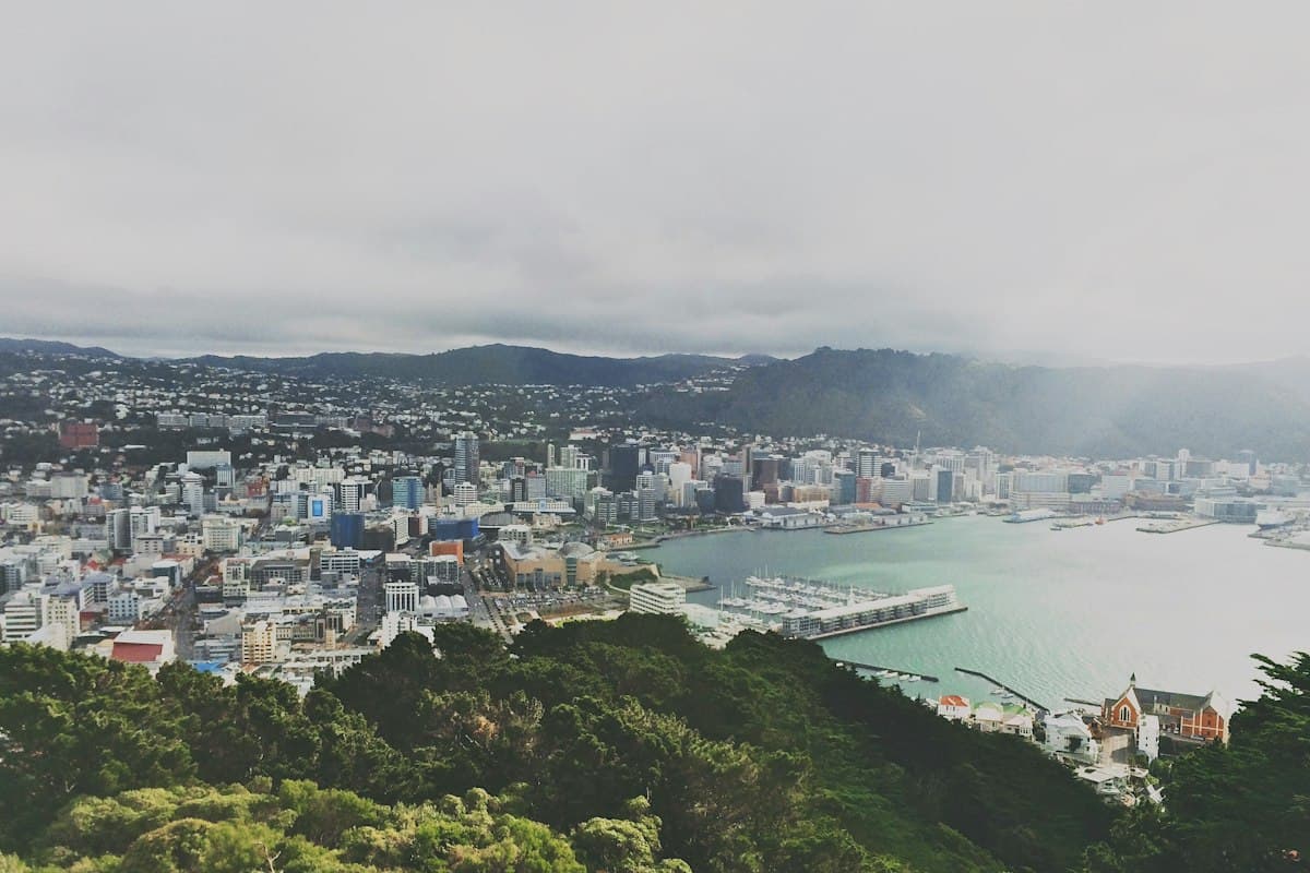 Wellington and its harbour seen from Mount Victoria